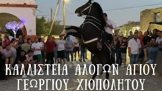 Καλλιστεία Αλόγων Αγίου Γεωργίου Χιοπολήτου Νέον Κυδωνιών Λέσβου 06/07/2024