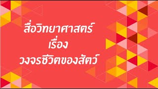 สื่อการสอนวิทยาศาสตร์ เรื่อง วงจรชีวิตของสัตว์