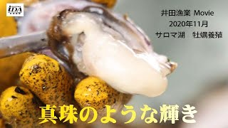 2020年11月_牡蠣養殖_山木さんバージョン