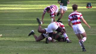 Michaelhouse 1st team rugby highlights 2021