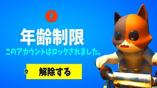 年齢制限でフォートナイト出来なくなりました。【茶番/フォートナイト】