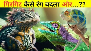 गिरगिट रंग कैसे बदलता है | Beautiful color changing