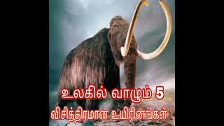 உலகில் வாழும் 5 விசித்திரமான உயிரினங்கள்