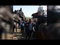 Кокпар Есім палуан 3 түие жарты миллион 🏇