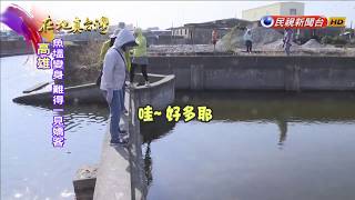 2019.04.21【在地真台灣】如花朵綻放 廢棄魚塭變身水母花園