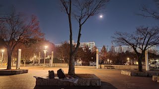 달, 팔괘나무 그리고 윤주 - 2024.12.24. 새벽3시 팔괘내공