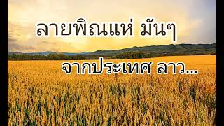 ลายพิณแห่มันๆ จาก สปป.ลาว #พิณ #สปปลาว เพลงพิณ#พิณบรรเลง #เพลงลาว #เพลงพิณ #พิณอีสาน #พิณซิ่ง