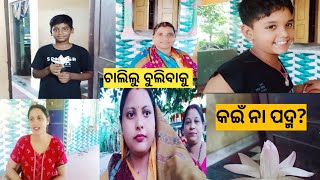 ସାନ ଦିଅର ଦେଲେ ଫୁଲ// ଆଜି ଆମେ କୁଆଡେ ଗଲୁ ସମସ୍ତେ