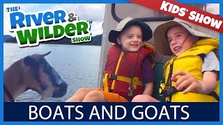 BOATS, GOATS AND KIDS CATCHING GIANT CRABS IN TRAPS | KIDS TV