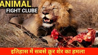 इतिहास में सबसे क्रूर शेर का हमला | The Most Brutal Lion Attacks in History 