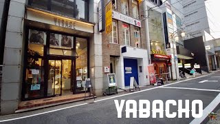 【4K】♫名古屋散歩、矢場町駅周辺を歩く！～やばとんの棲み処～