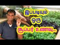 The NEXT GENERATION Superfood Everyone Must Eat - Dr.P.Sivakumar - InTamil