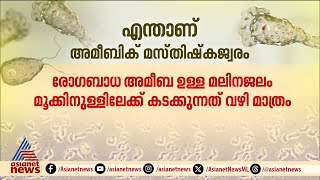 തുടക്കം പനിയും തലവേ​ദനയും, രോ​ഗനിർണയം വൈകിയാൽ മരണം; എന്താണ് അമീബിക് മസ്തിഷ്ക ജ്വരം ?