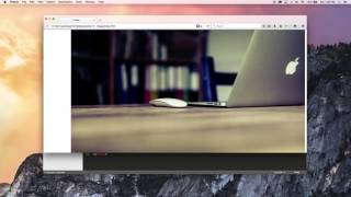 Bootstrap tutorial 10 Images