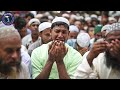 মশা সৃষ্টির রহস্য কেন আল্লাহ্‌ মশা তৈরি করলেন why allah created mosquitoes islamic witness