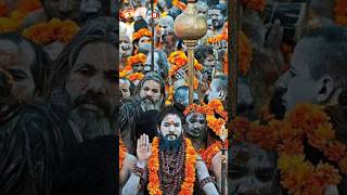 नागा साधुओं के अखाड़े होते क्या हैं ? #shorts #mahakumbh2025 #sadhu #shivbhakti