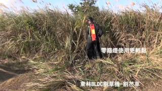 東林BLDC割草機-圓盤鋸片割芒草Comlink BLDC Grass Cutter-Cutting hard plant 東林割草機