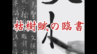 枯樹賦の臨書　褚遂良行書の書き方基本 calligraphy semi-cursive style