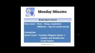 EMS Quick Study Help | Central Nervous System