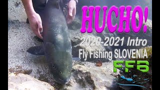 Hucho Hucho fishing Slovenia 2020 2021