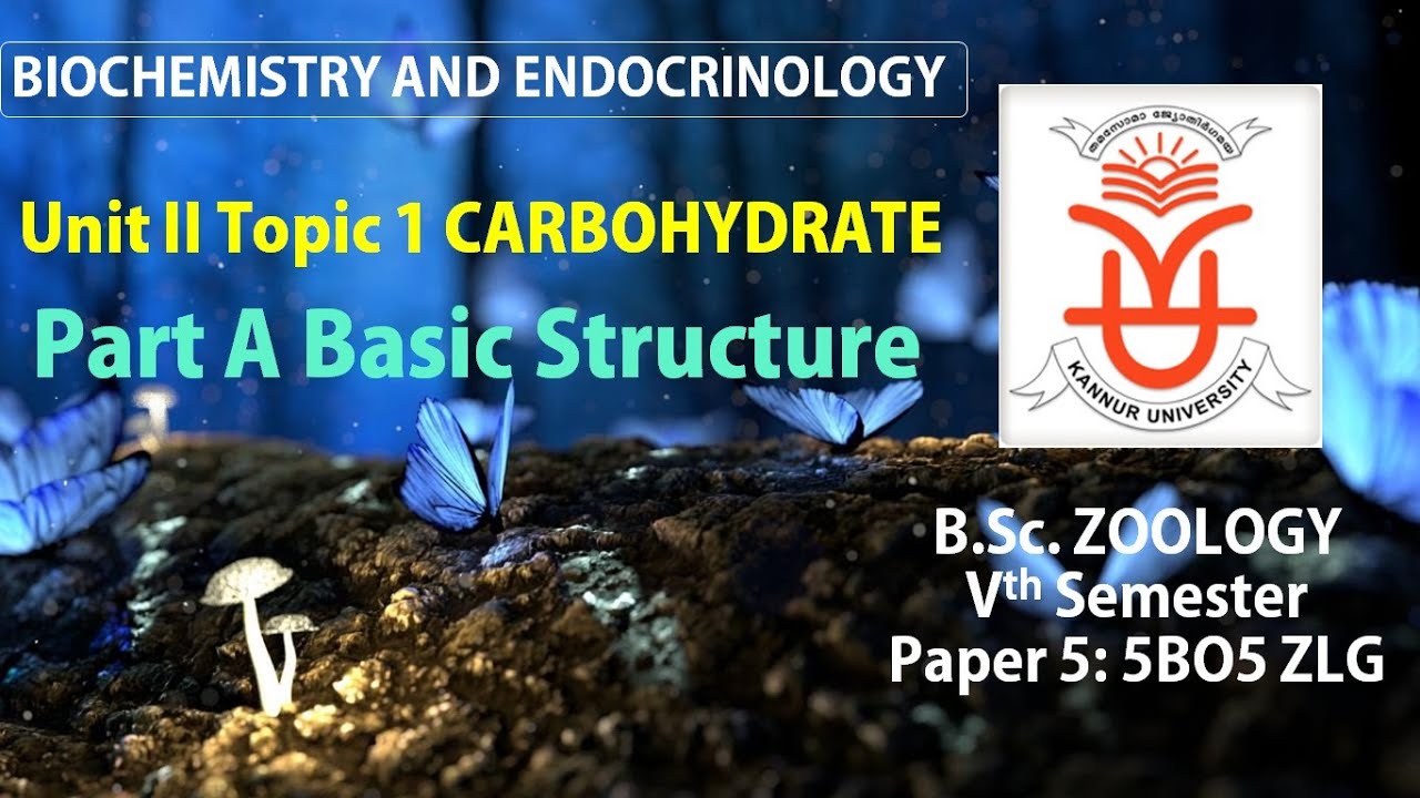 Unit II Topic 1 Carbohydrate Part A Basic Structure - YouTube