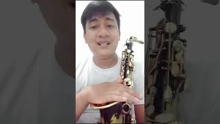 Muslady Alto sax review