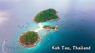 Koh Tao, Thailand 🇹🇭 | The Ultimate Travel Guide to Thailand’s Hidden Paradise! 🏝️✨