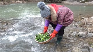 The freshly picked vegetables are made into a pot of pumpkin noodles, which tastes delicious.