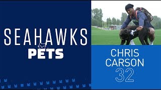 Chris Carson's Cane Corso 'Sosa' | Seahawks Pets