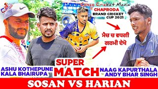 Sosan(Ashu Kothepona \u0026 Kala Bhairupa) Vs Harian(Naag Kapurthala \u0026 Andy Bhar) Cosco Cricket Mania