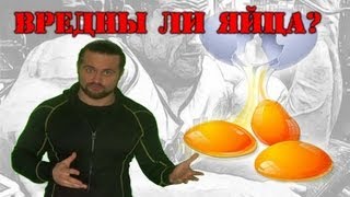 Вредны ли ЯЙЦА?  (Белок VS Холестерин)