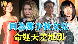 同為鄭少秋女兒不同命，長女被棄養淪為打工仔，鄭欣宜資產過億怪病纏身，小女兒被寵上天吃喝不愁！#鄭少秋#沈殿霞#鄭欣宜#星聞榜