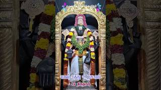 பகல் பத்து உற்சவம் 4ம் திருநாள் #avvvalayam #worshipathome #vaikundaekadesi