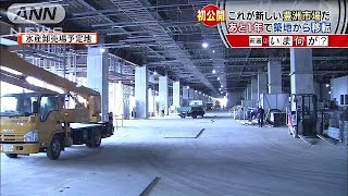 東京ドーム7.5個分　これが豊洲市場だ！移転まで1年(15/10/29)