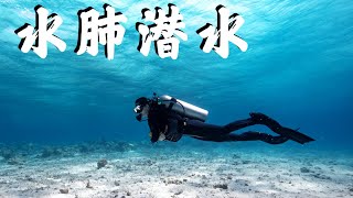 【Scuba Diving入门必看】水肺潜水考证全介绍｜潜水好玩吗 鲨鱼咬人吗 考证难吗