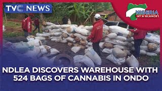 [Nigeria At A Glance] NDLEA Discovers Warehouse With 524 Bags Of Cannabis In Ondo