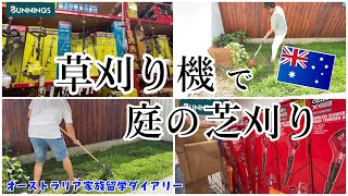 【家族留学】草刈り機を購入したら衝撃続きだった　#オーストラリア留学 #オーストラリア移住 #親子留学