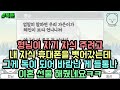 형님이 자기 자식 주려고 내 자식 휴대폰을 뺏어갔는데 그게 독이 되어 바람난 게 들통나 이혼 선물 해줬네요ㅋㅋ (톡툰 모음집 80탄) | 갓쇼의톡툰