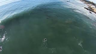 5K 60 Fps Jan 7 2025 Surfing Big Wind Swell NorCal Santa Cruz California #socal