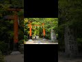 京都 宇治上神社 古蹟 神廟 寺廟 京都 宇治上神社