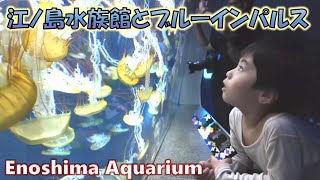 240616【4歳】クラゲに会いに江ノ島水族館へ～Go see the jellyfish at Enoshima Aquarium～