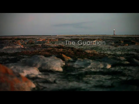 The Guardian - YouTube