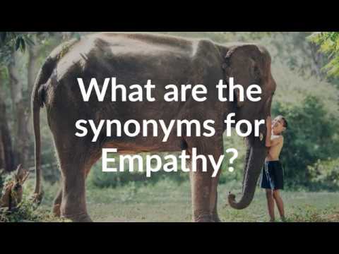 What are 5 synonyms for empathy?