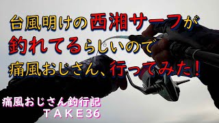 【西湘サーフ】西湘が釣れてるって聞いたんじゃ(痛風おじさん釣行記take36)