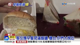 反胃! 旅館早餐竄螞蟻 爬滿漢堡三明治│中視新聞 20191011