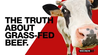 Eugene Trufkin: The truth about grass fed beef