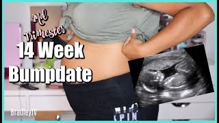 14 WEEK PREGNANCY BUMPDATE - 3RD BABY // SYMPTOMS, CRAVINGS, AND BELLY SHOT!