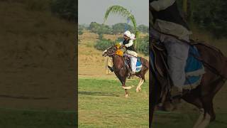 One Man and his Horse #nezabazi The Man Who Rode a Horse Across the Ocean