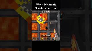 When Minecraft Cauldrons are Sus