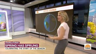 Dylan Dreyer Backside In Review